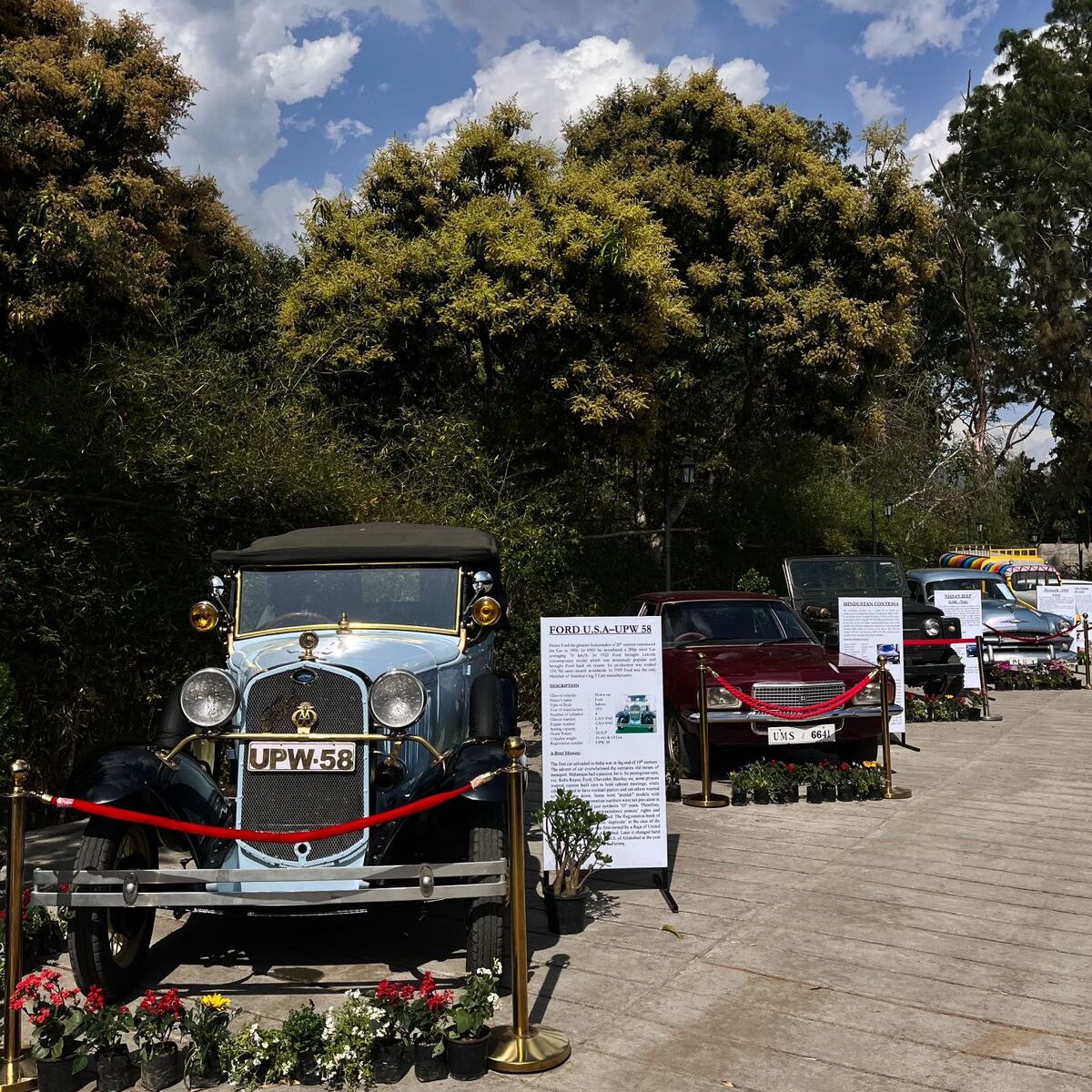 Vintage car and Flower Show